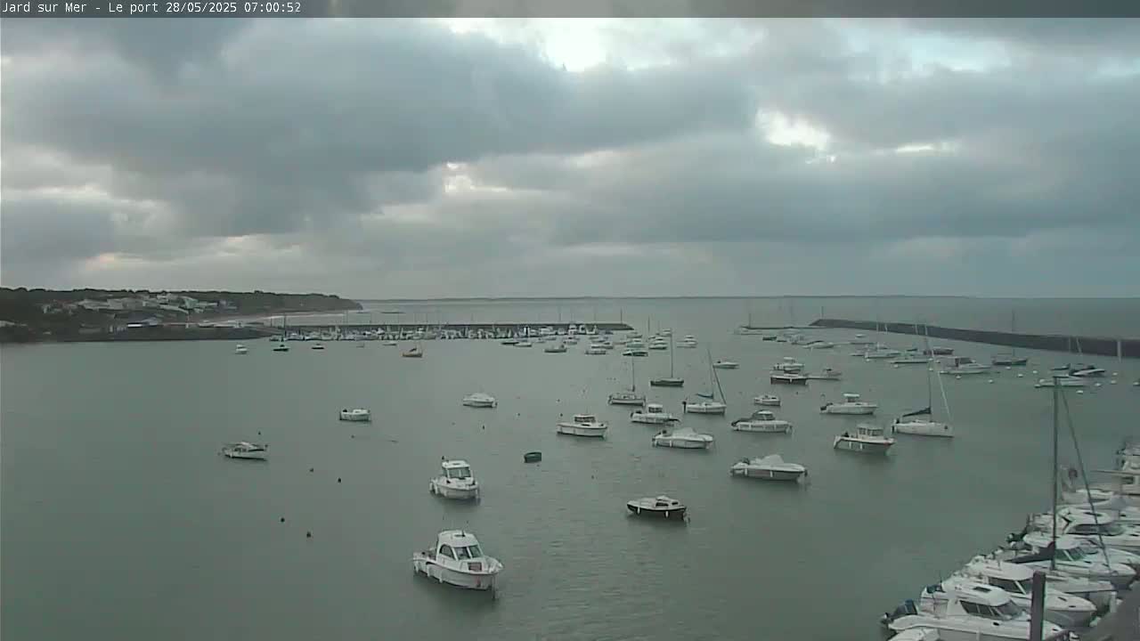 Numerous boats are moored in a calm harbor under an overcast sky.