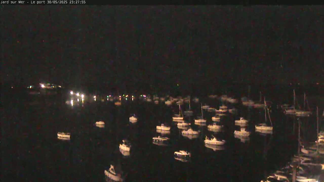 Many small boats are moored in a dark harbor at night.