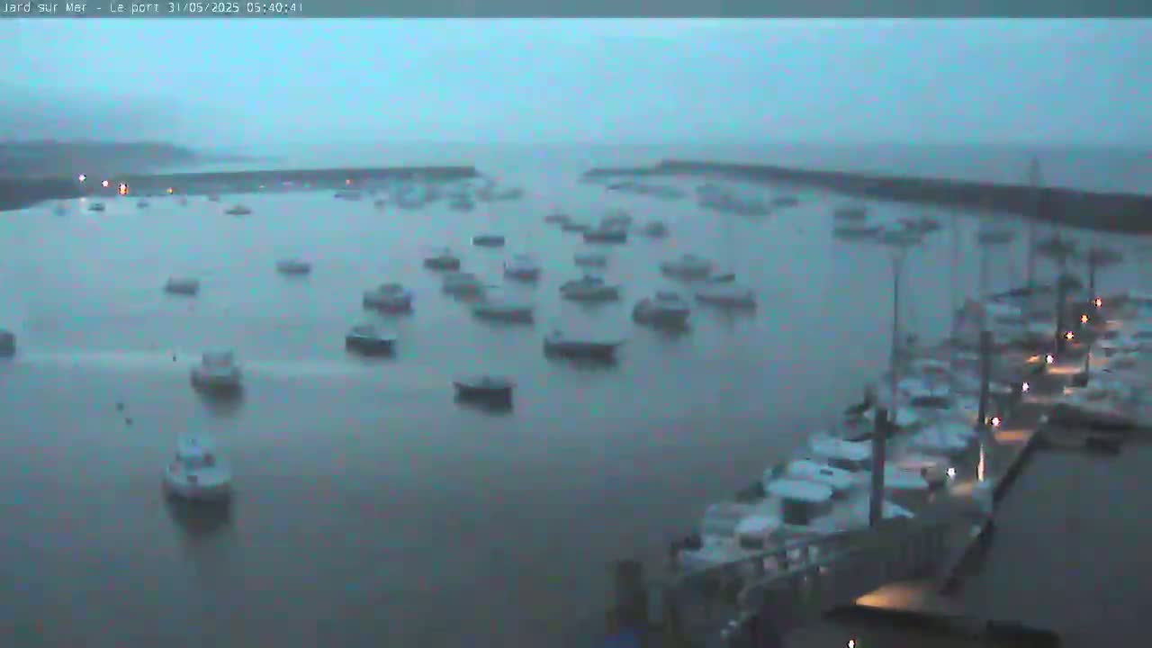 Many boats are moored in a harbor on a foggy morning.