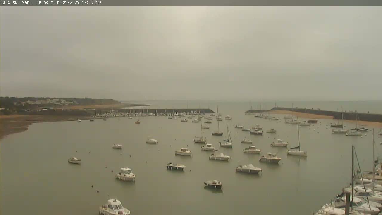 A harbor filled with numerous boats under an overcast sky.