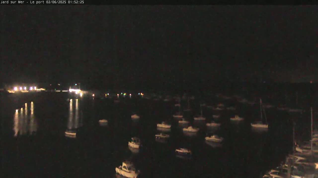 Numerous boats are moored in a dark harbor at night.