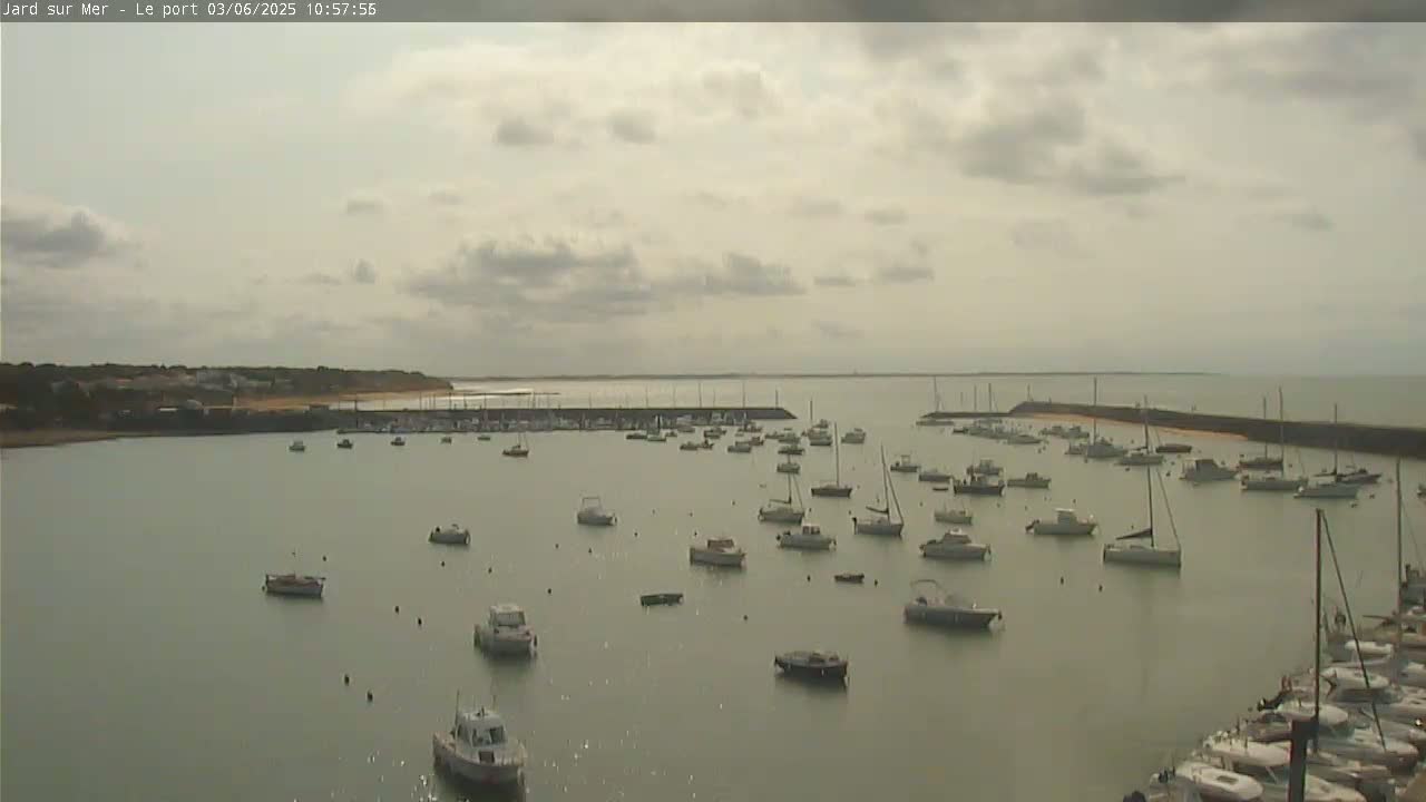 A calm harbor filled with numerous boats under a cloudy sky.