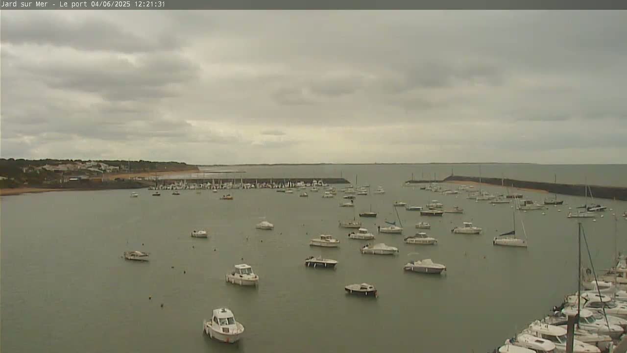 A harbor filled with numerous boats is visible under an overcast sky.