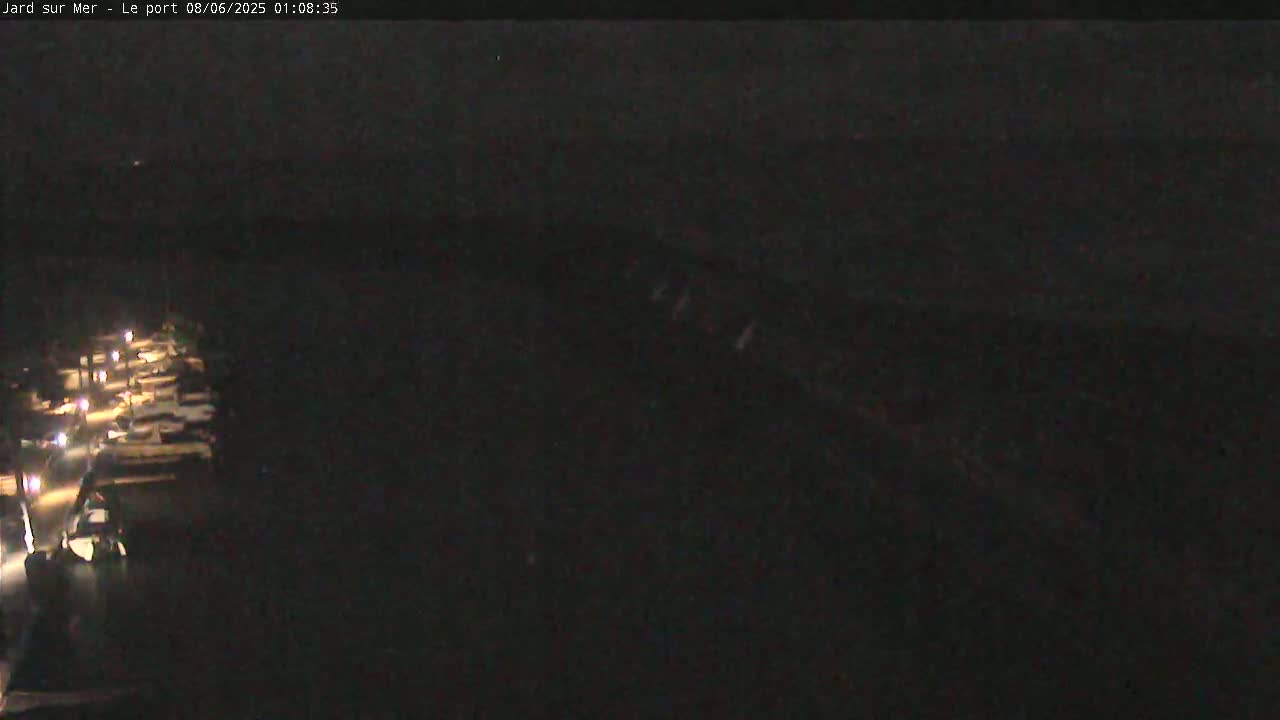 A nighttime view shows a dark body of water with dimly lit boats docked along the shoreline.