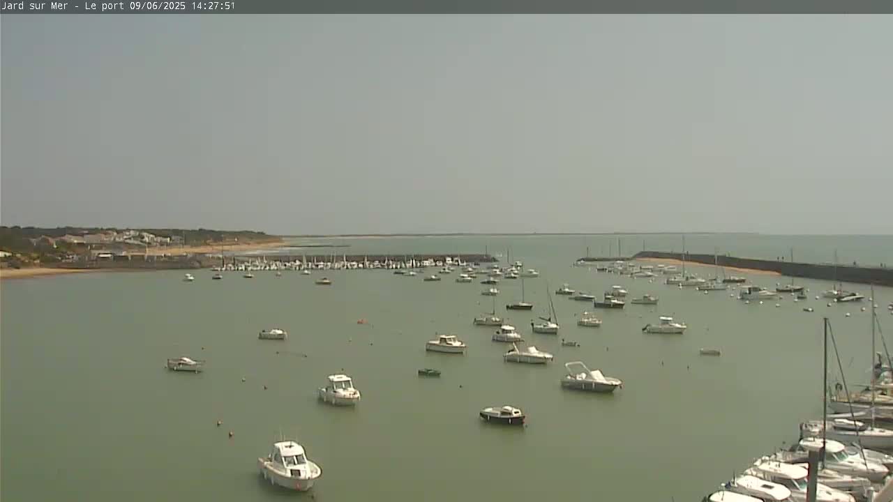 Numerous boats are moored in a calm harbor on an overcast day.