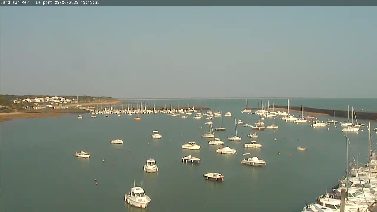 A calm, sunny day reveals a harbor filled with numerous boats and yachts, with a shoreline and buildings visible in the distance.