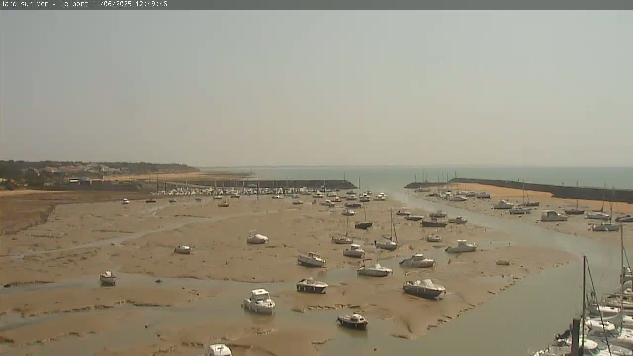 A mostly sunny day reveals a harbor filled with numerous boats resting on exposed mudflats at low tide, with a calm body of water visible in the distance.