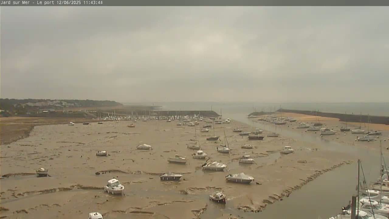 Numerous boats are grounded on a vast expanse of exposed mudflats in an overcast harbor.