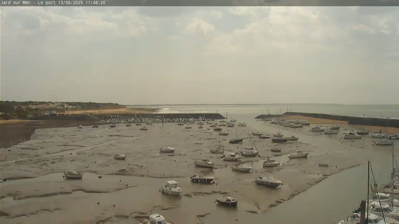 Numerous boats sit in a harbor at low tide under a mostly cloudy sky.