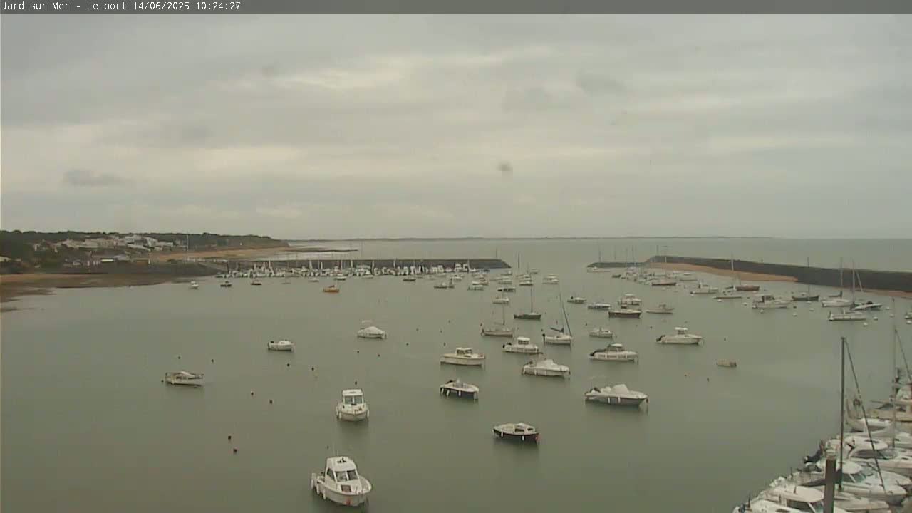 A harbor filled with numerous boats is seen under an overcast sky.