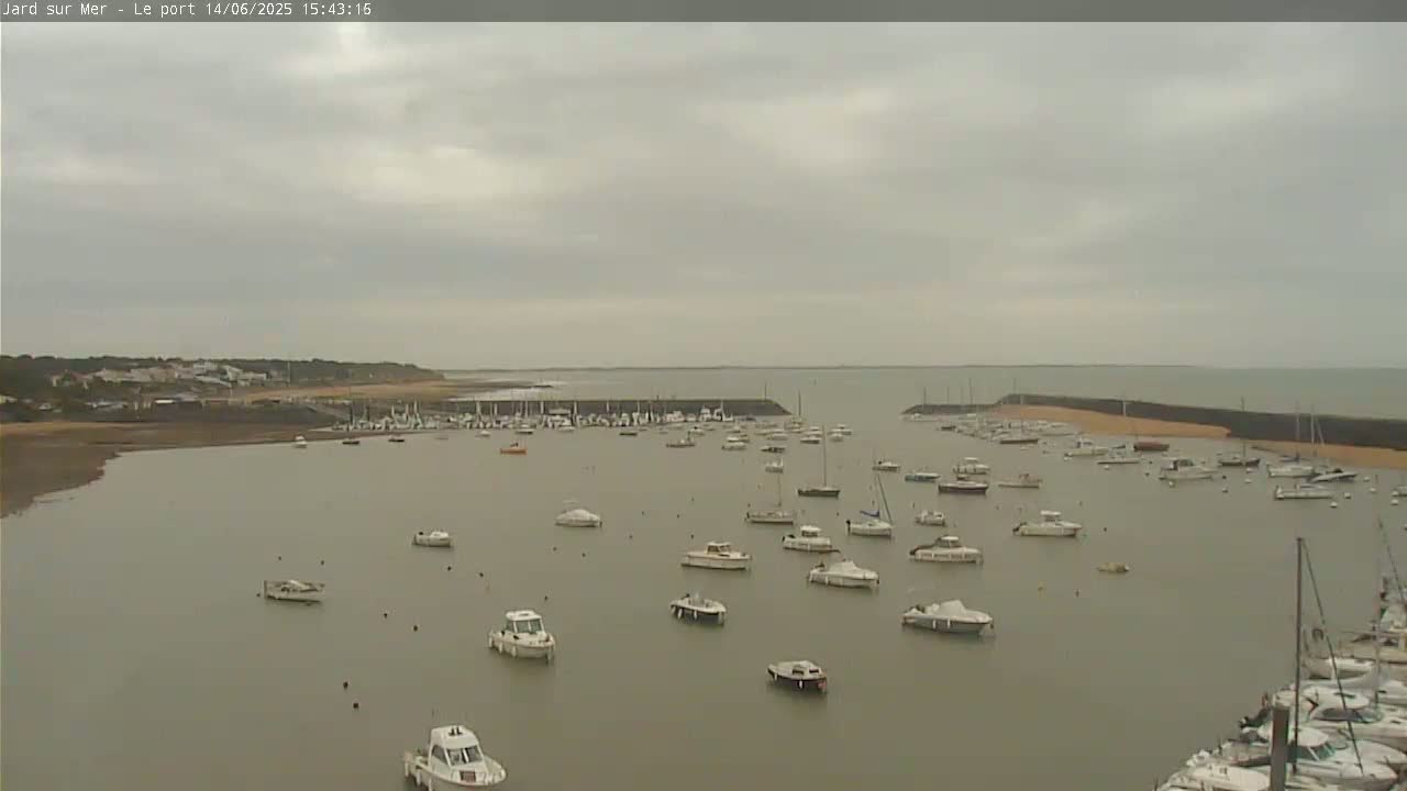 A calm harbor filled with numerous boats under an overcast sky.