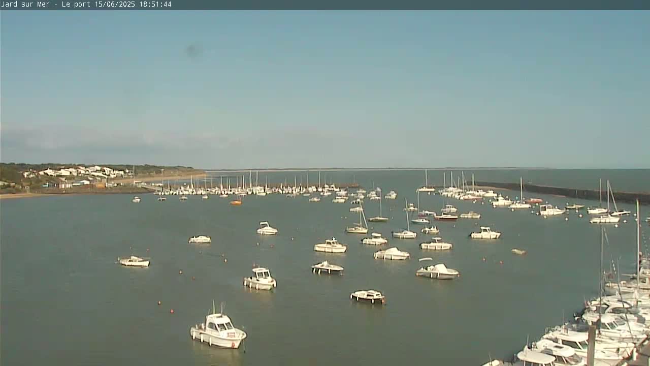 A calm harbor filled with numerous boats is seen under a clear, sunny sky.