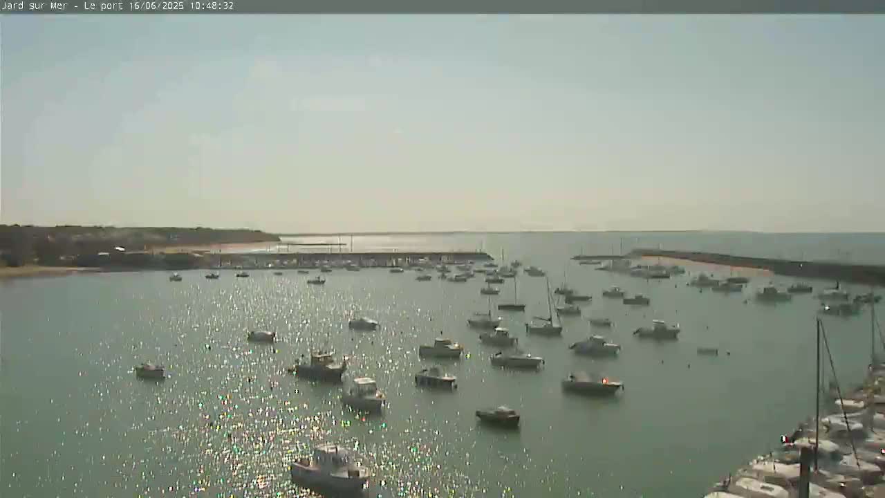 A calm, sunny day shows a harbor filled with numerous boats moored in the water, with a landmass visible in the background.