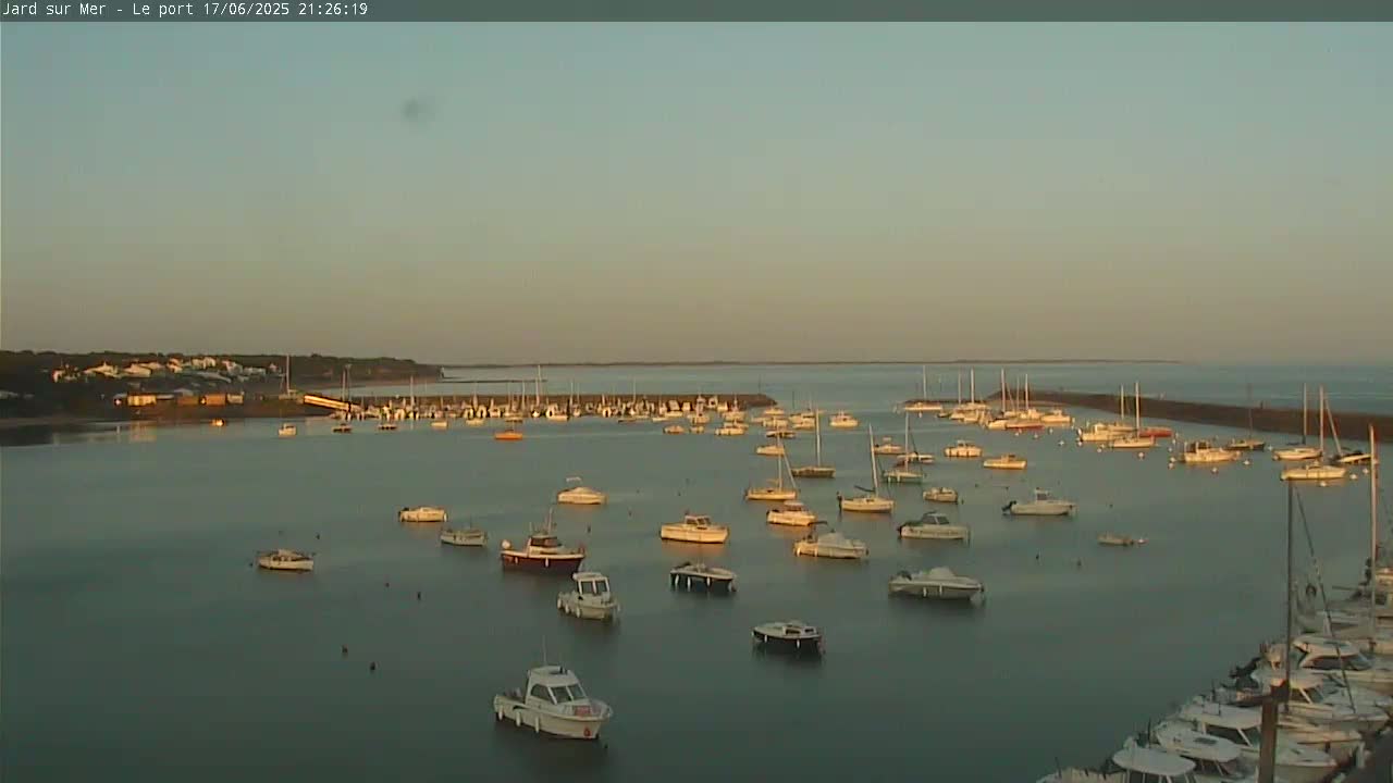 Many boats are moored in a calm harbor at sunset.