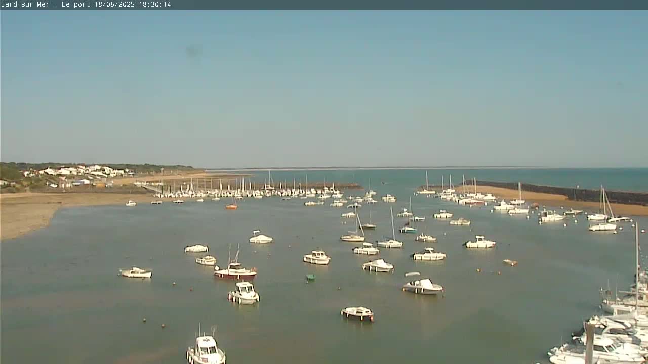 A calm harbor filled with numerous small boats and yachts under a clear, sunny sky.