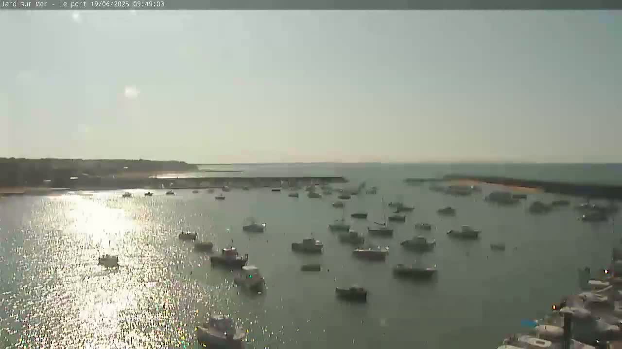 Many boats are moored in a calm harbor on a sunny day.
