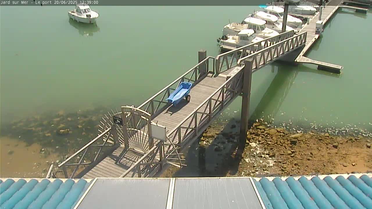 A wooden dock extends over shallow, greenish water, where several boats are moored nearby; a small blue cart sits on the dock.