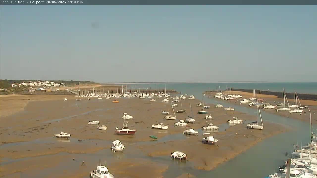 A harbor filled with numerous boats sits on a large expanse of exposed mudflats under a clear, sunny sky.