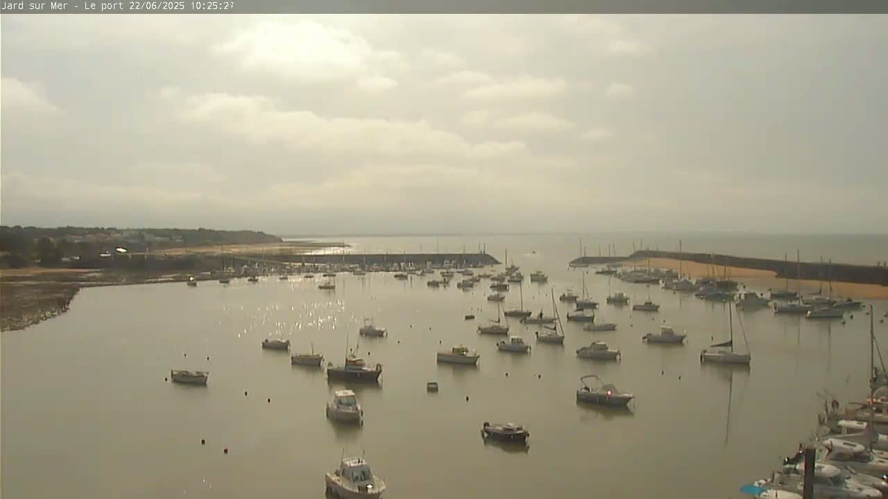 Many small boats are moored in a calm harbor under a cloudy sky.