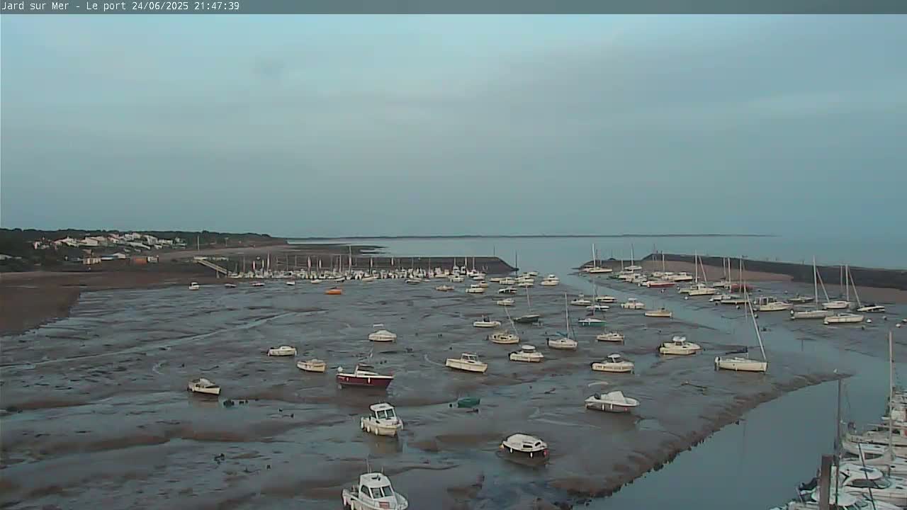 Numerous boats are resting on a mudflat at low tide in a calm, dusky harbor.