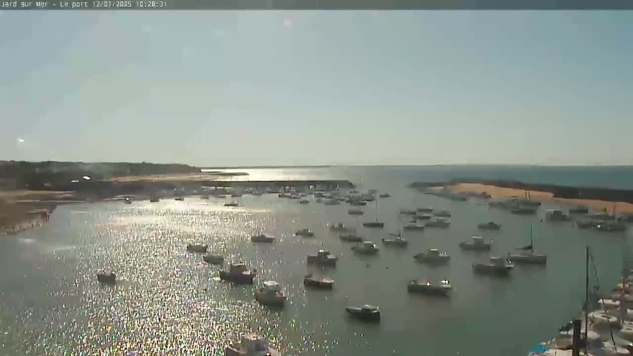 A harbor filled with numerous boats under a sunny sky.