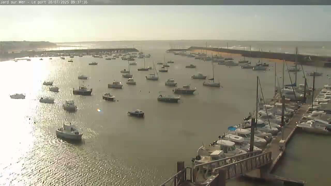 Many boats are moored in a calm harbor on a hazy day.
