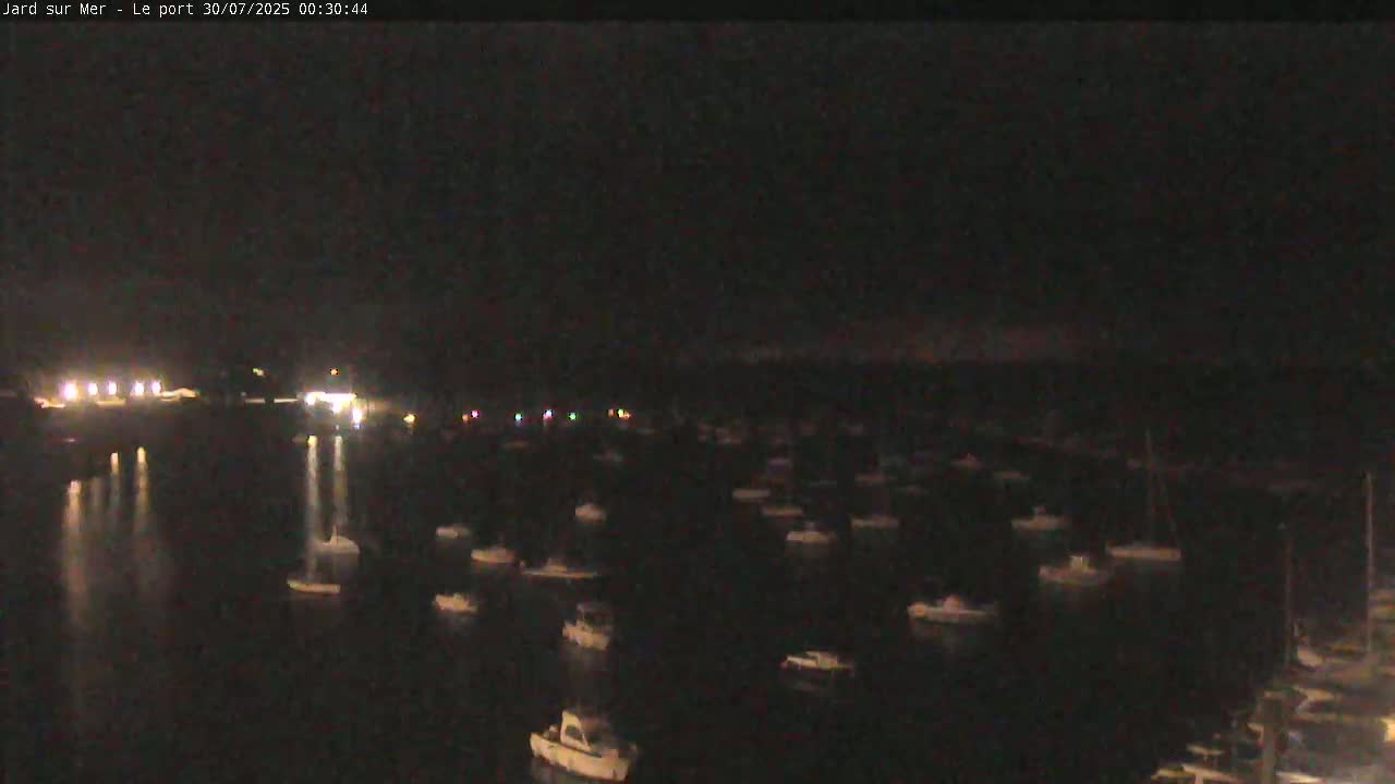 Many boats are moored in a calm harbor on a hazy day.