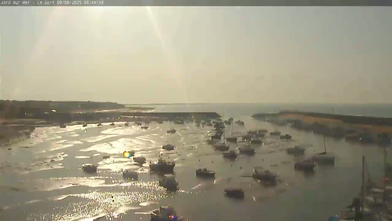 Many boats are docked in a harbor at low tide under a hazy sky.