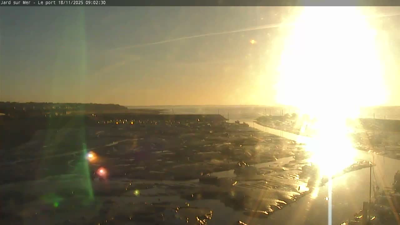 Many boats are moored in a calm harbor on a hazy, sunny day.