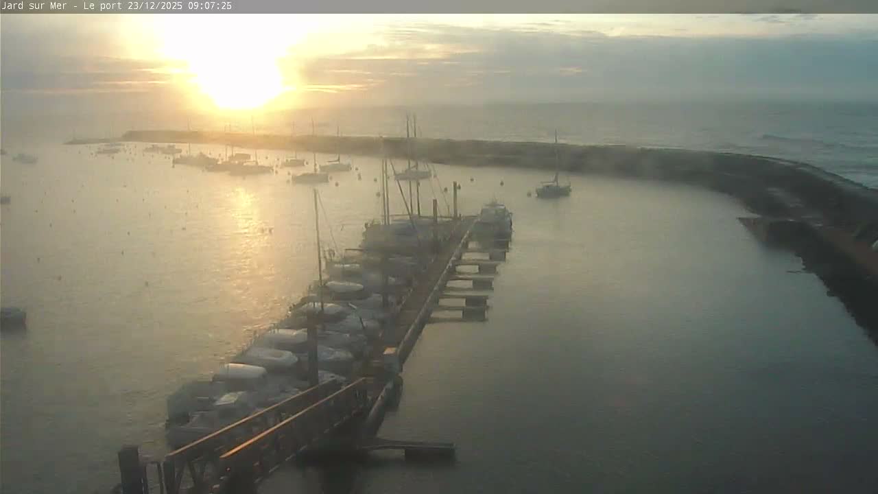 A brilliant golden morning sun casts a radiant glow over a tranquil harbor, illuminating numerous boats moored at a long pier and others anchored, with a curving stone breakwater separating the calm water from a gently waving open sea under a partly cloudy sky.
