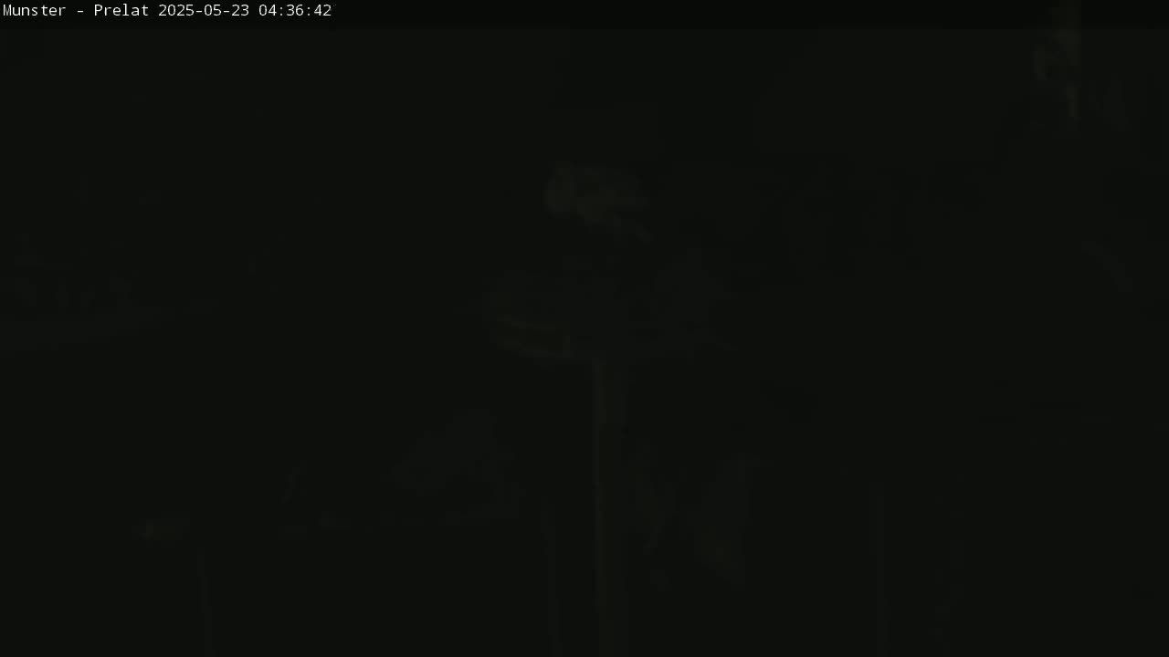 The image shows a very dark, possibly nighttime, scene with indistinct shapes and low visibility.