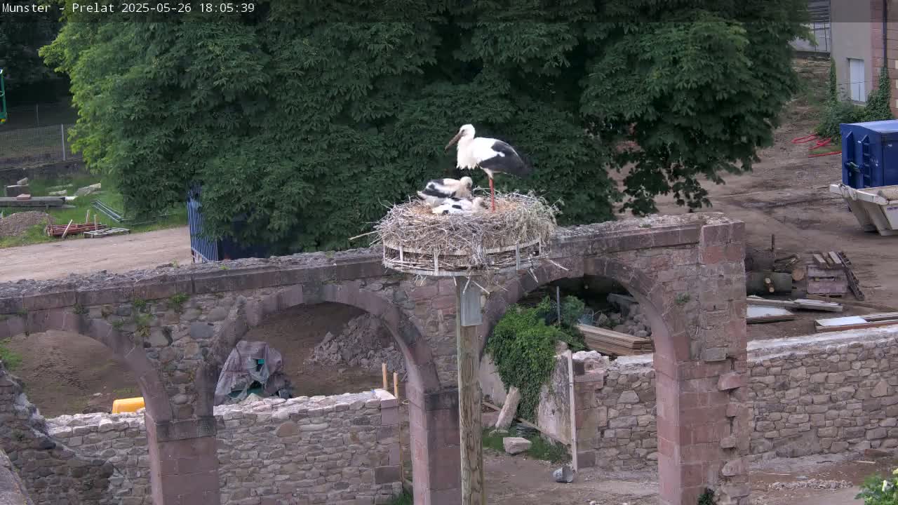 A stork stands in a nest atop a pole situated on a stone structure with arches, amidst a partly cloudy day.