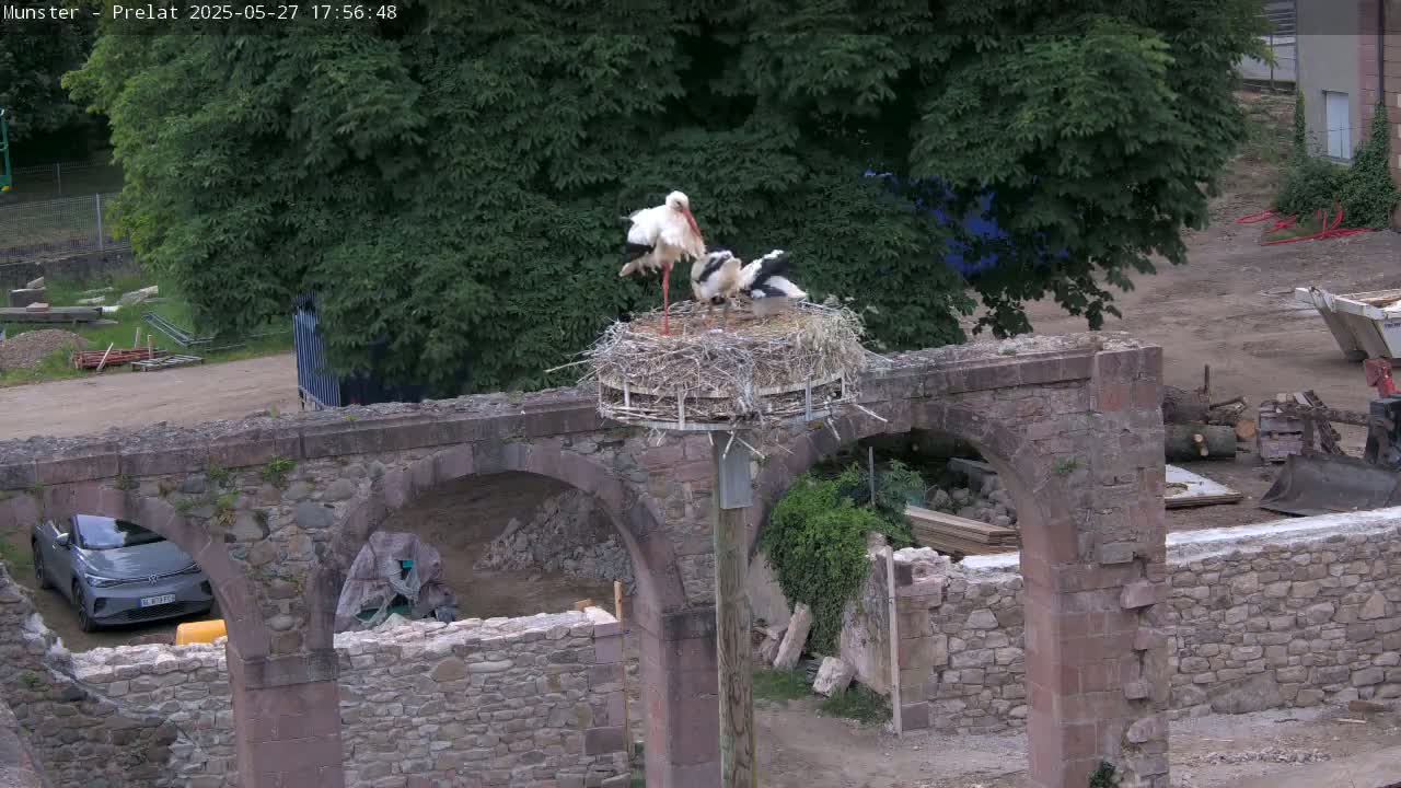 Two adult storks and a young stork are in a nest atop a stone structure under a partly sunny sky.
