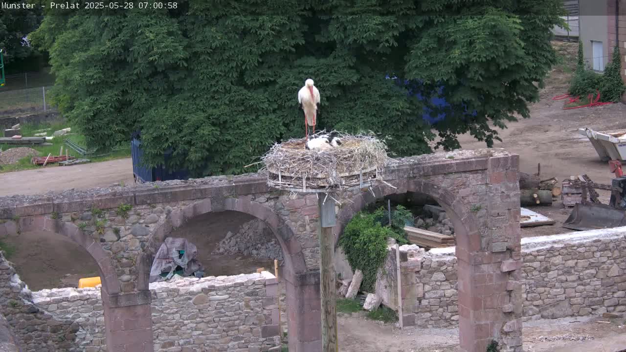 A white stork stands in a nest atop a stone structure with arched openings, overlooking a construction site under a partly cloudy sky.