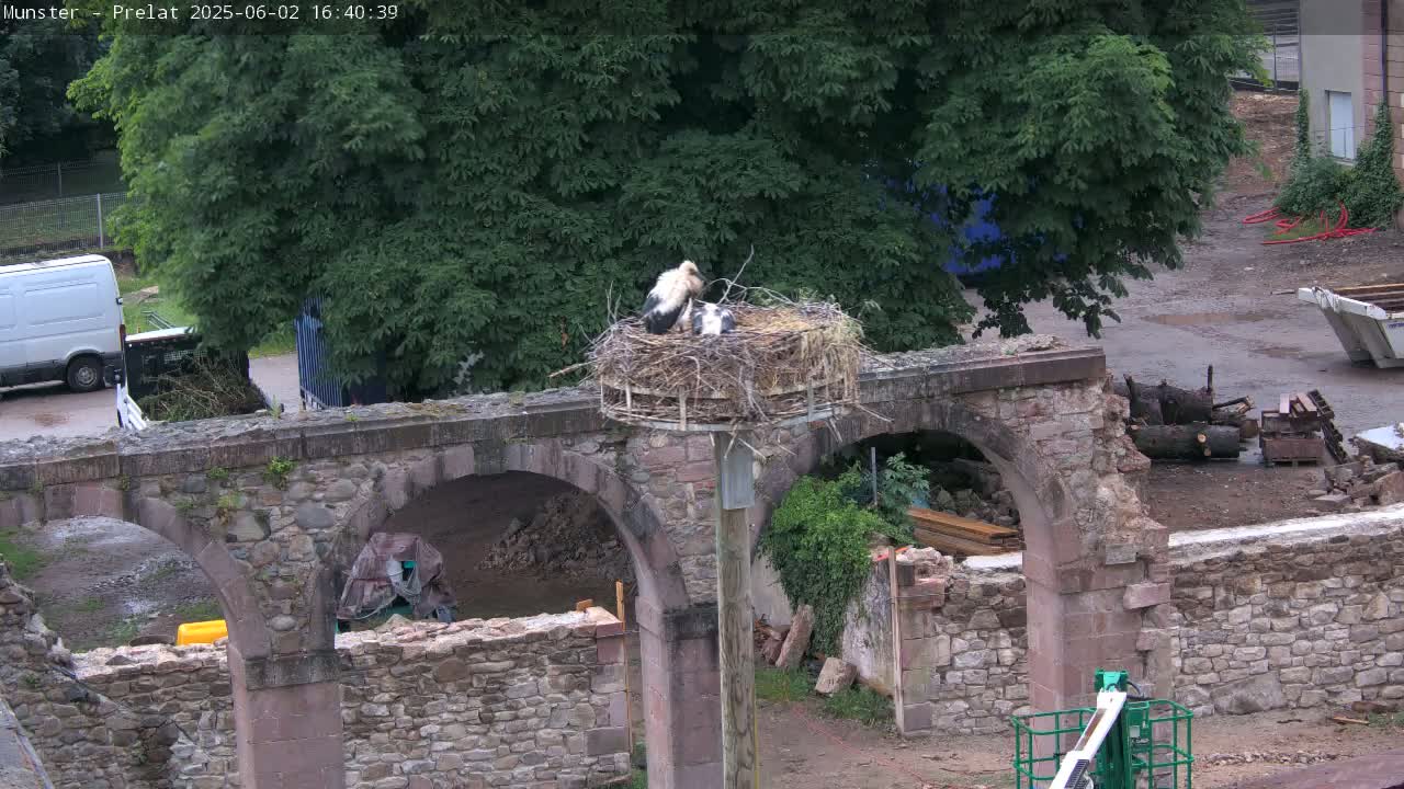 A white stork sits in a nest atop a pole on a stone archway, with construction debris and lush green trees nearby under overcast skies.
