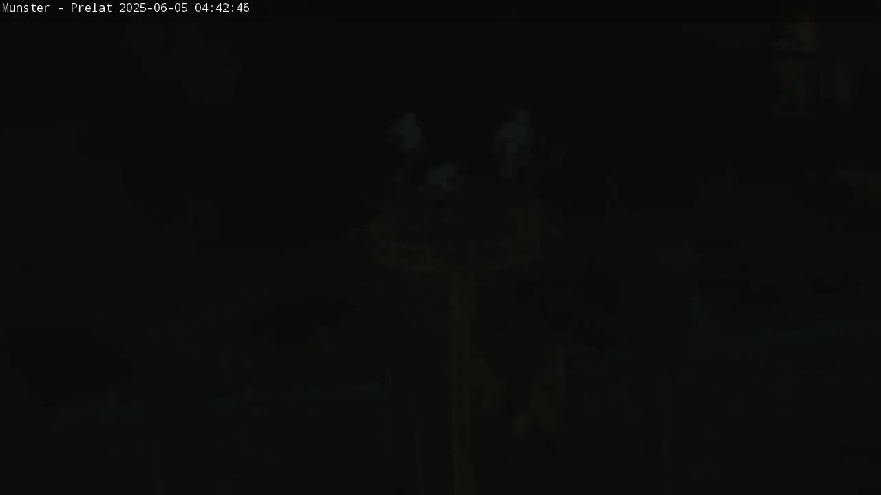 A dark, nighttime image shows indistinct shapes that may be people standing in an outdoor area.