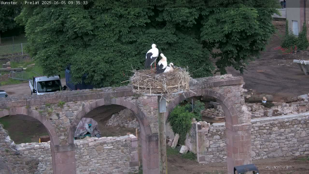 Three storks are in a nest atop a pole situated on a stone archway overlooking a construction site under a partly cloudy sky.