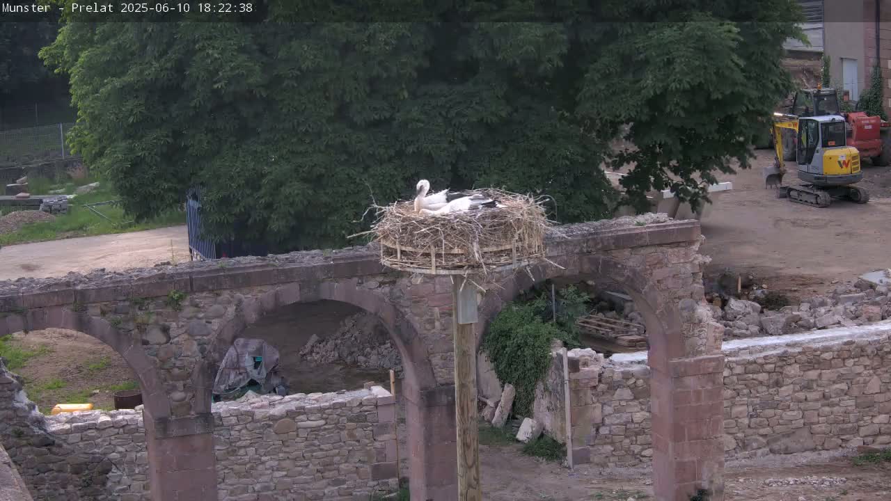 Two white storks sit in a nest atop a pole situated on a stone archway amidst construction on an overcast day.