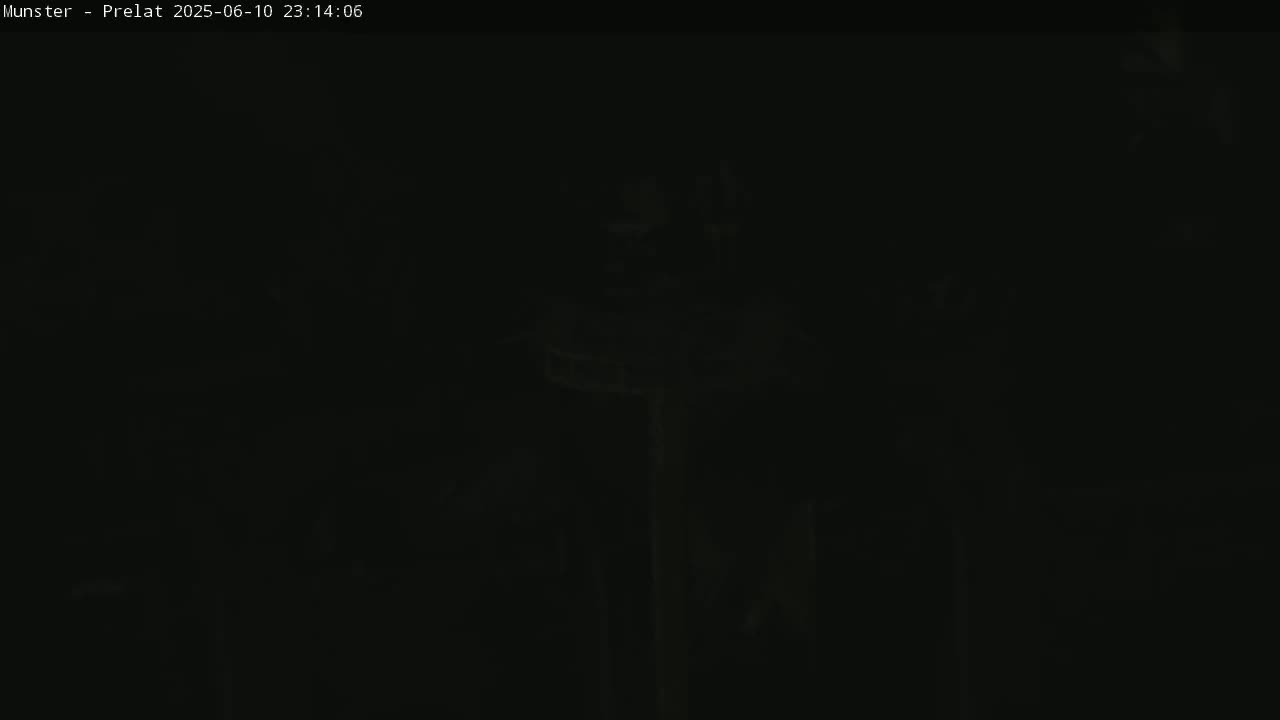 Munster, Ruines de l'Ancienne abbaye Saint Grégoire (Ruins of the Old Abbey of Saint Gregory) & Stork Nest Live Cam - Colmar-Ribeauvillé, Haut-Rhin, Grand Est, France