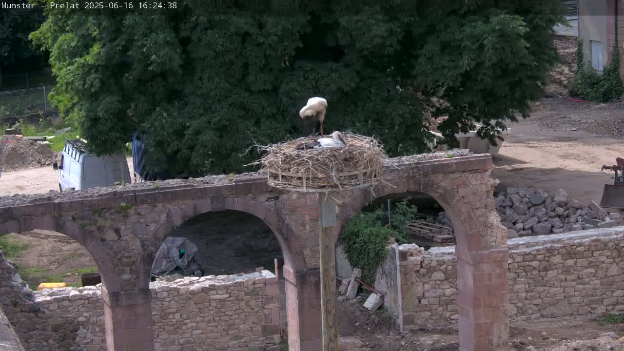 Two storks are in a nest atop a weathered stone structure under a partly sunny sky.