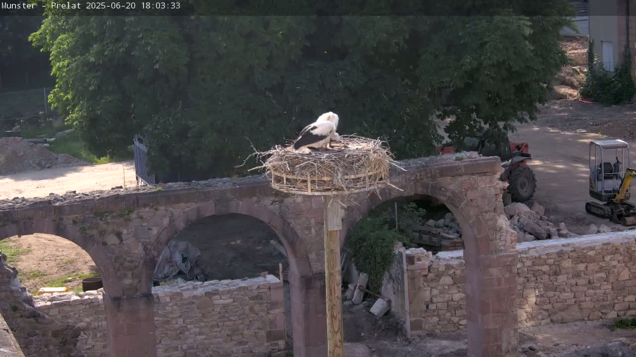 A stork sits in a nest atop a wooden pole positioned on a partially demolished stone structure under a partly sunny sky.