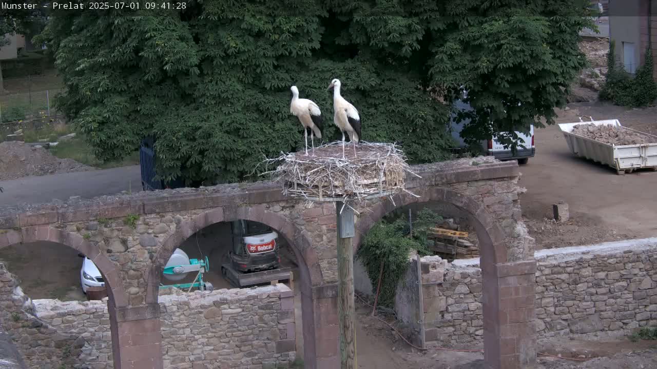 Two white storks stand in a large nest atop a stone structure with arched openings, under a partly cloudy sky.