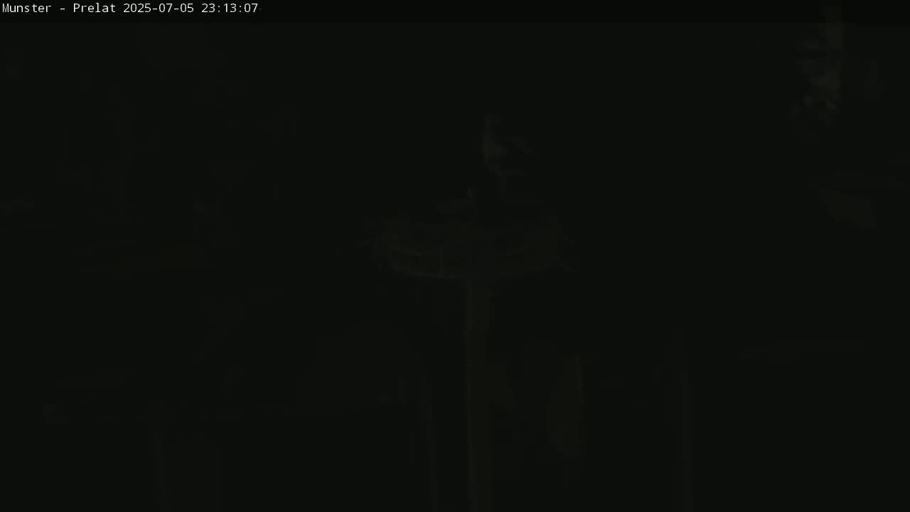 Munster, Ruines de l'Ancienne abbaye Saint Grégoire (Ruins of the Old Abbey of Saint Gregory) & Stork Nest Live Cam - Colmar-Ribeauvillé, Haut-Rhin, Grand Est, France