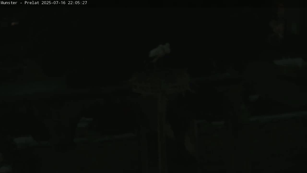 Munster, Ruines de l'Ancienne abbaye Saint Grégoire (Ruins of the Old Abbey of Saint Gregory) & Stork Nest Live Cam - Colmar-Ribeauvillé, Haut-Rhin, Grand Est, France