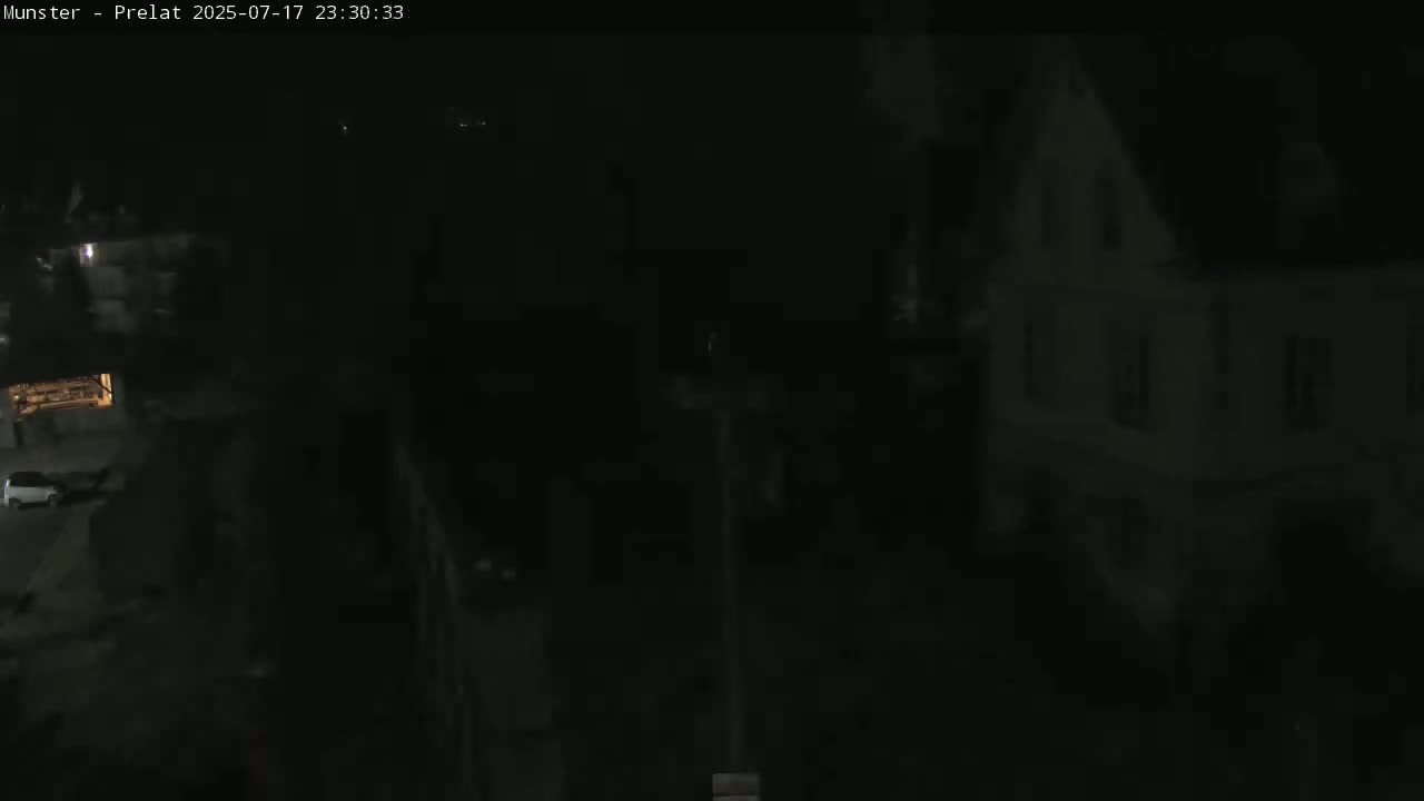 Munster, Ruines de l'Ancienne abbaye Saint Grégoire (Ruins of the Old Abbey of Saint Gregory) & Stork Nest Live Cam - Colmar-Ribeauvillé, Haut-Rhin, Grand Est, France