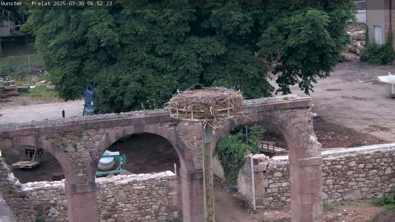 A white stork stands in a large nest atop a wooden post situated on a stone archway on a sunny day.