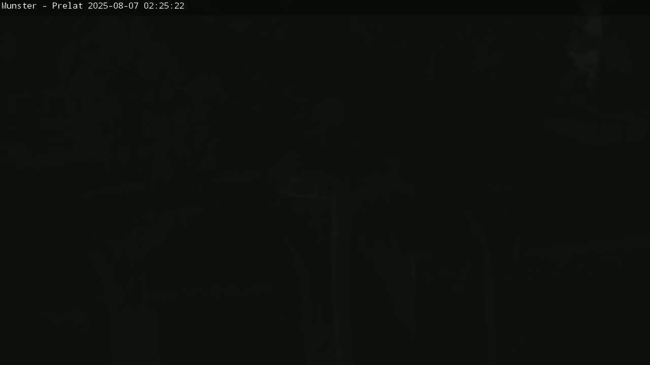 Munster, Ruines de l'Ancienne abbaye Saint Grégoire (Ruins of the Old Abbey of Saint Gregory) & Stork Nest Live Cam - Colmar-Ribeauvillé, Haut-Rhin, Grand Est, France