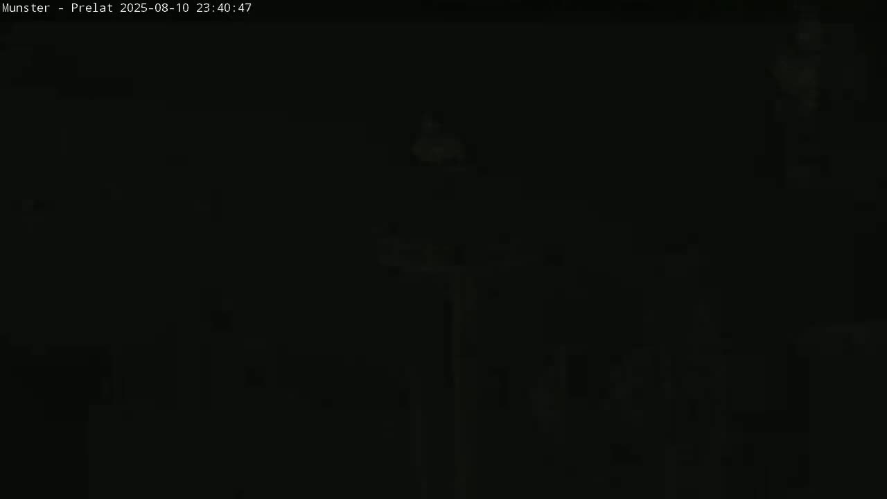 Munster, Ruines de l'Ancienne abbaye Saint Grégoire (Ruins of the Old Abbey of Saint Gregory) & Stork Nest Live Cam - Colmar-Ribeauvillé, Haut-Rhin, Grand Est, France