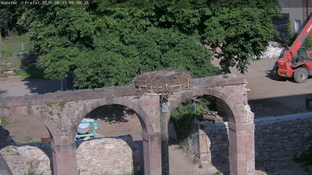 A bird's nest sits atop a stone archway of a ruin on a sunny day, with construction equipment visible nearby.