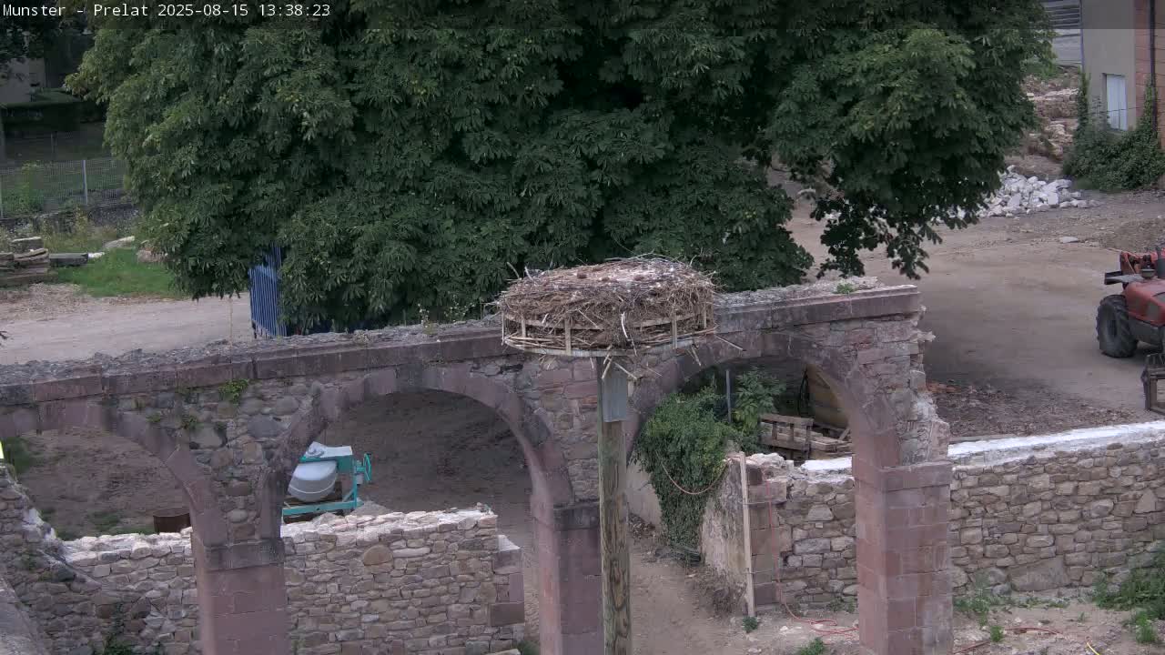A bird's nest sits atop a stone archway of a ruin on a sunny day, with construction equipment visible nearby.